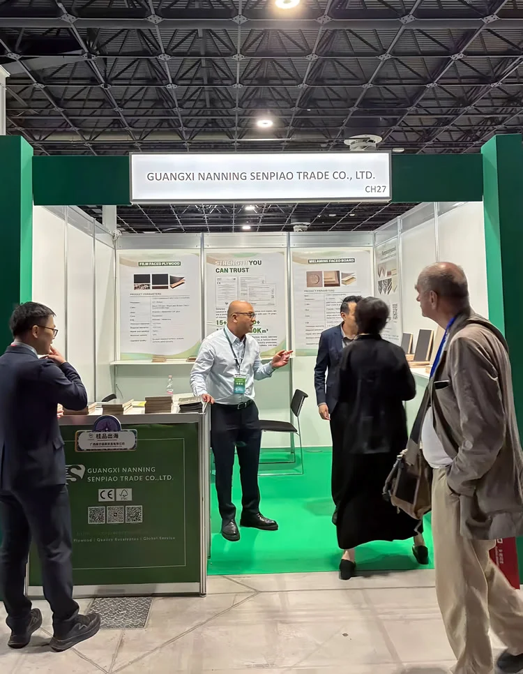 senpiao-participated-in-the-global-digital-trade-expo-hungary-roadshow-05.webp